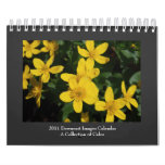 2011 Collection of Color Calendar