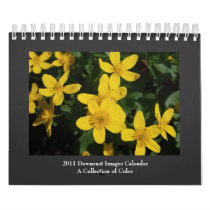2011 Collection of Color Calendar