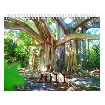 2011 Colorsplash Calendar by sindhujasunder