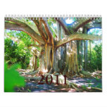 2011 Colorsplash Calendar