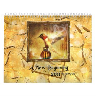 2011 Contemporary Art Calendar: A New Beginning calendar