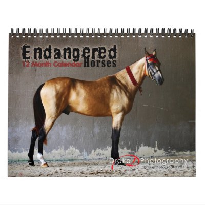 2011 Endangered Horse Breeds Calendar by PaintingPony