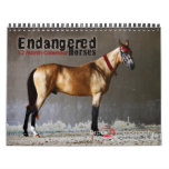 2011 Endangered Horse Breeds Calendar