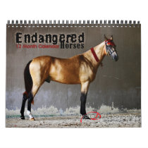 2011 Endangered Horse Breeds Calendar