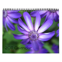 2011  Flower Calendar