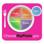 2011 Food Pyramid Choose My Plate sticker