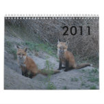 2011 Fox Calendars