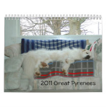 2011 Great Pyrenees Calendar