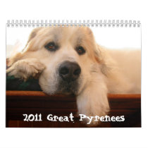 2011 Great Pyrenees Calendar