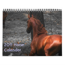 2011 Horse Calender Wall Calendar
