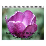 2011 Images of Nature by Daniel McGee Calendars