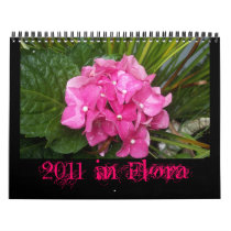 2011 in Flora Calendars
