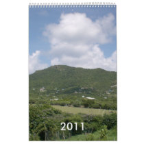 2011 Landscape Wall Calendar