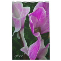 2011 Macros + Closeups (Vertical Calendar)
