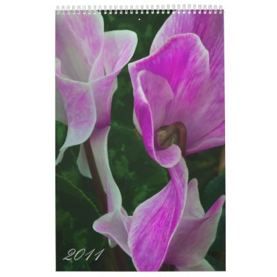 2011 Macros + Closeups (Vertical Calendar) by bruceliv
