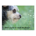 2011 Make Time to Enjoy Life Year Calendar Postcard