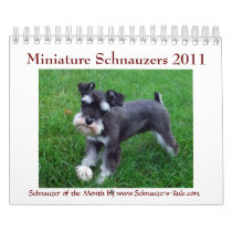 2011 Miniature Schnauzers Wall Calendar