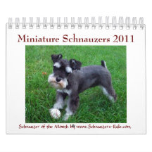 2011 Miniature Schnauzers Wall Calendar