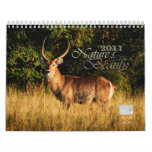 2011 Nature's Beauty customizable Calendar