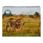 2011 Nature's Beauty customizable - huge size Wall Calendars
