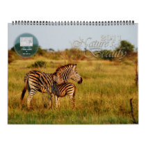 2011 Nature's Beauty customizable - huge size Wall Calendars