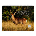 2011 Nature's Beauty customizable - Huge size calendars