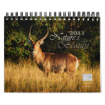 2011 Nature's Beauty customizable - small size Calendar