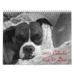 2011 Pet Calendar: Cats & Dogs