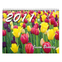 2011 photo calendar