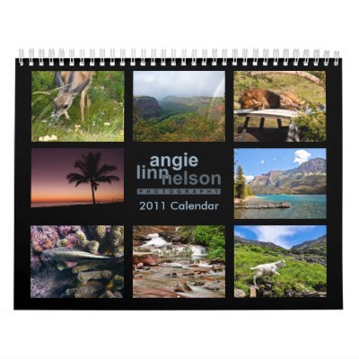 2011 Photography Calendar by angielinn