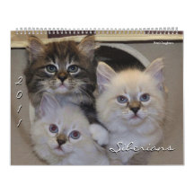 2011 Siberians Cats & Kittens Calendar