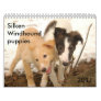 2011 Silken Windhound puppies Calendars