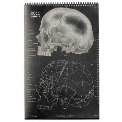 2011 SKULL/SKELETON/ANATOMY -Tang13. Wall Calendar by tangtang13
