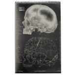2011 SKULL/SKELETON/ANATOMY -Tang13. Wall Calendar