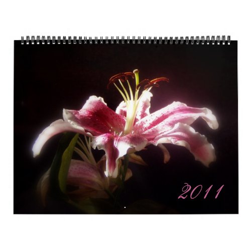 2011 Stargazer Lily Calender calendar