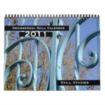 2011 Still Studies Wall Calendar