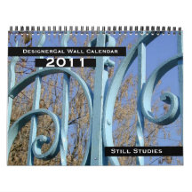 2011 Still Studies Wall Calendar