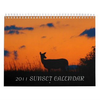 2011 SUNSET CALENDAR calendar