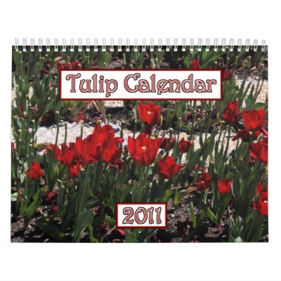 2011 Tulip Calendar by GOLDENJACKAL