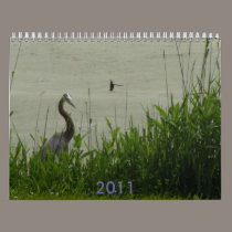 2011 waterfowl calendar