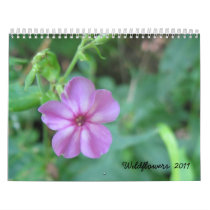 2011 Wildflower Calendar
