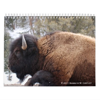 2011 Wildlife Calendar by purpletiger