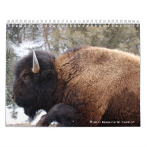 2011 Wildlife Calendar