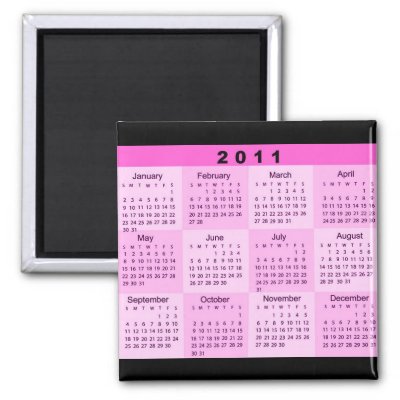 2011 Year at a Glance Calendar Magnet by MidnightDreamer