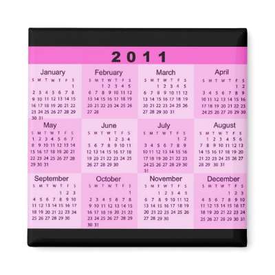 2011 Year at a Glance Calendar fridge magnets