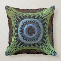 20120211-2 american mojo pillows