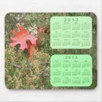 2012 - 2013 Calendar Mouse Pads
