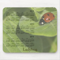 2012-2014 Ladybug Calendar Mousepad