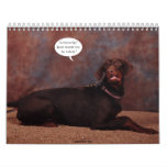 2012 Adult Doberman Calendar