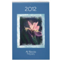 2012 Al Riccio Wall Calendars